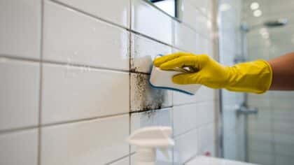 remove bathroom mold