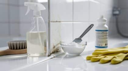 remove mold shower caulking